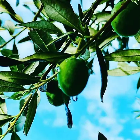 Mobile Homes Kamp Maslina, * Weißenburg