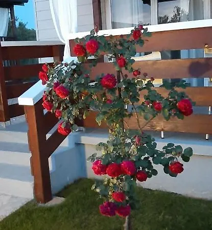 Mobile Homes Kamp Maslina,