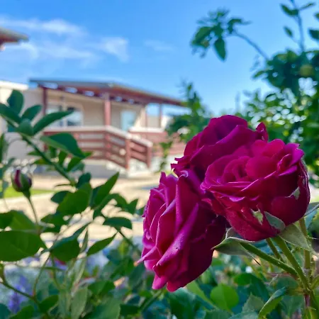 Campingplatz Mobile Homes Kamp Maslina,