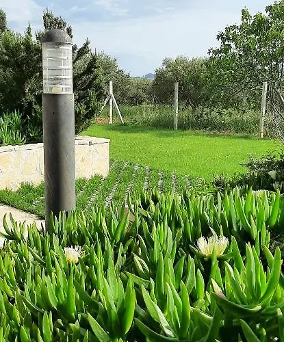 Kamp alanı Mobile Homes Kamp Maslina, Biograd Na Moru