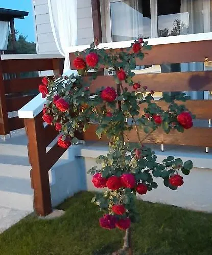 Mobile Homes Kamp Maslina,