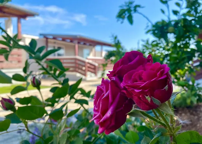 Kamp alanı Mobile Homes Kamp Maslina,