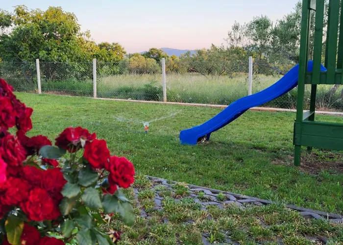 Kamp alanı Mobile Homes Kamp Maslina, Biograd Na Moru